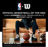 NBA Authentic Series Indoor/Outdoor Basketballs