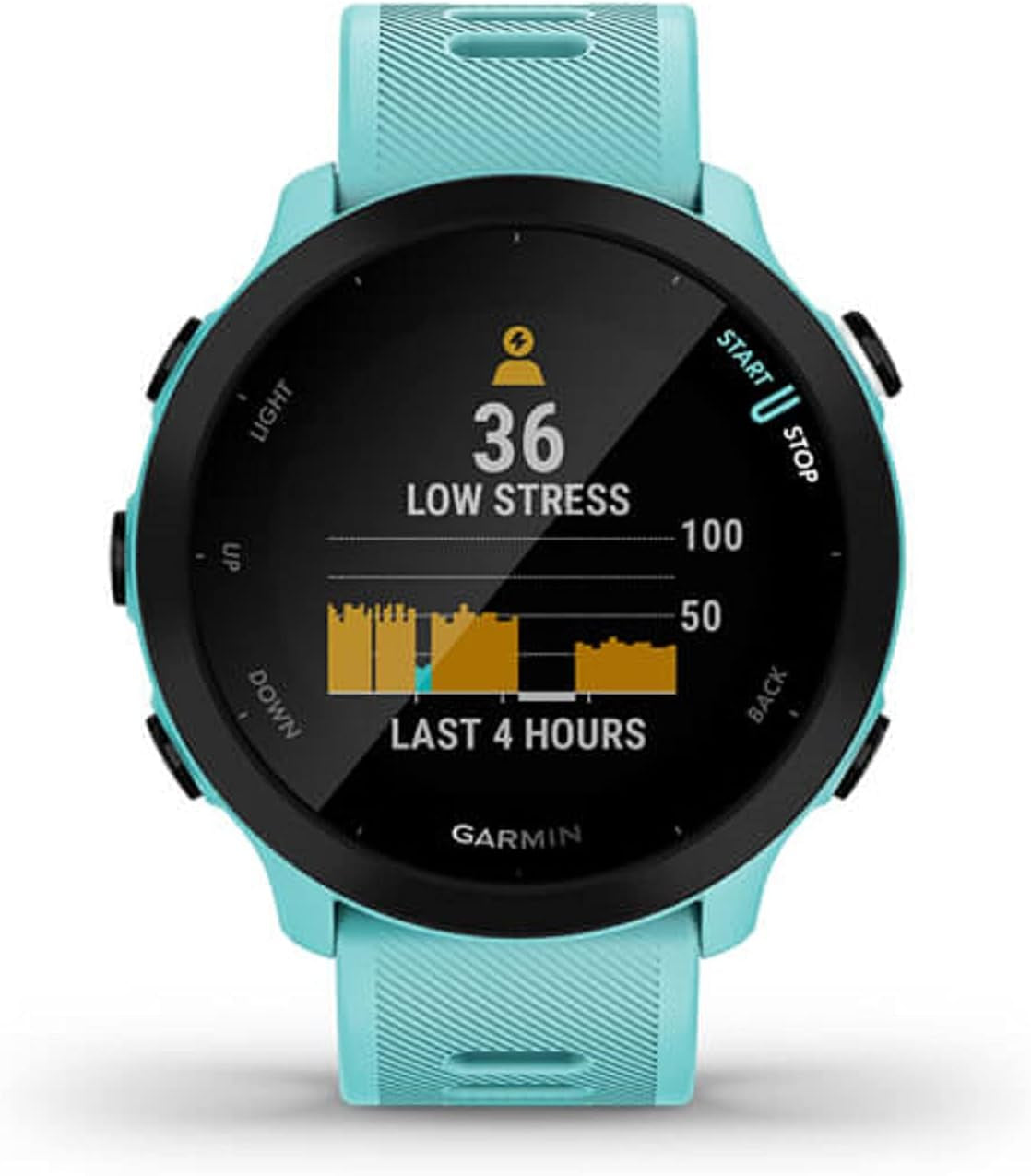 Forerunner 55, GPS Running Watch with Daily Suggested Workouts, up to 2 Weeks of Battery Life, Aqua