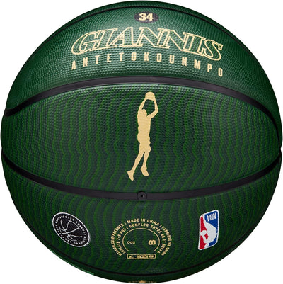 NBA Player Icon Outdoor Basketballs - Size 7 and Mini Size