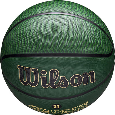 NBA Player Icon Outdoor Basketballs - Size 7 and Mini Size