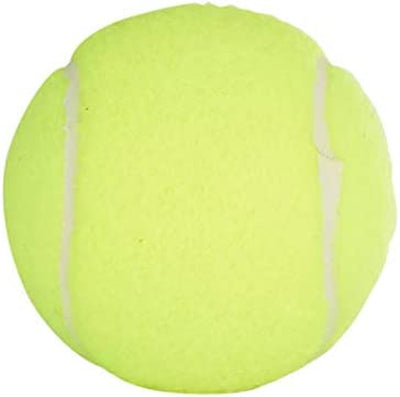 Championship Tennis Balls - Extra Duty Felt Pressurized Tennis Balls - 24 Cans, 72 Balls