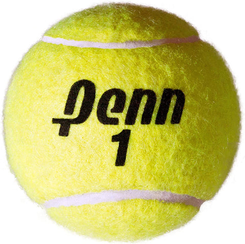 Championship - Extra Duty Felt Pressurized Tennis Balls - (2 Cans, 6 Balls)