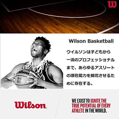 WILSON NBA DRV Series Outdoor Basketballs